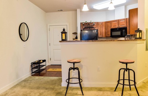 Waterloo Apartment | Mid Century Modern Luxury Apartment in Elkridge near Hospitals and Shopping Mall