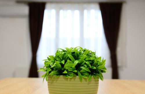 Marghita Apartment | Middletown apartments