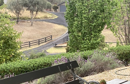 Central Mudgee Cottage | Midgee Cottage - quiet romantic getaway