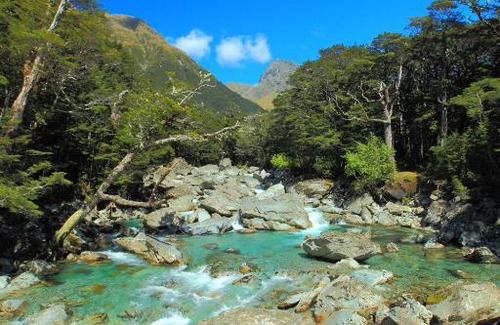 Te Anau Apartment | Milford Road Apartments
