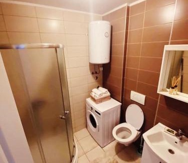 Alipasin Most Apartment | Miljacka