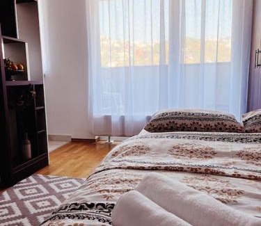 Alipasin Most Apartment | Miljacka