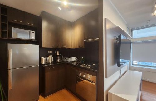 Santiago Apartment | Millennial Studio Wifi & Parking