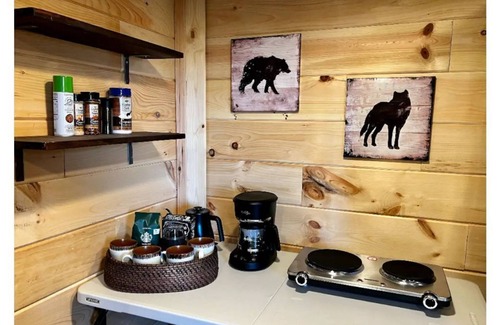 Ranger Cabin | Million Dollar Mountain View at Bear Den studio!