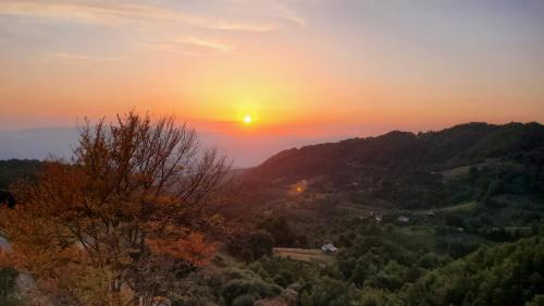 Lisina Apartment | Milmari - Apartman N85