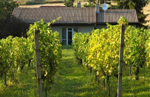 Milovice House | Milovice by Interhome