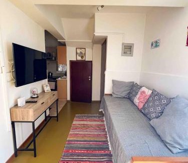 Kokkari Apartment | Miltiadis Apartments
