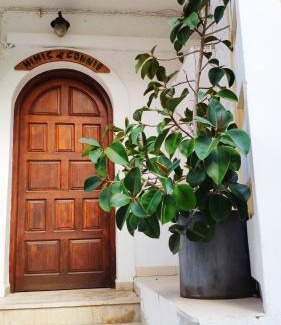 Karpathos Apartment | Mimis & Connie 2