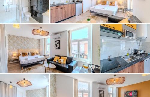 Roanne Apartment | Mimosa Roanne centre-ville - Parking & Clim