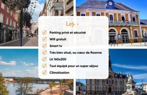 Roanne Apartment | Mimosa Roanne centre-ville - Parking & Clim