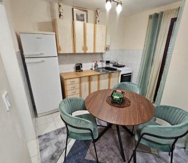 Maini Apartment | Mimoza Apartment in Budva