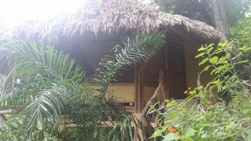Minca Hotel | Minca Ecohabs Hotel