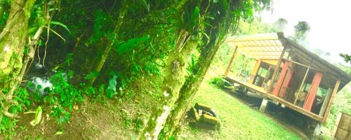 Mindo House | Mindo Eco Suite con Rio y Cascada