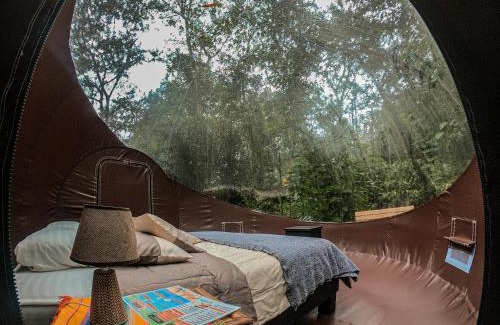 Mindo Cabin | Mindo GlamBird Glamping & Lodge