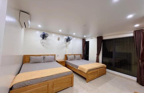 Cat Hai Hotel | Minh Đức hotel