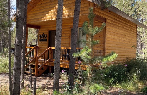 Island Park Cabin | Mini Moose-28 Miles to Yellowstone