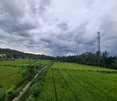 Batu Karas Hotel | Mini Ricefilds rooms