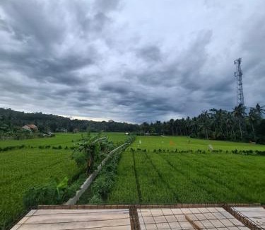 Batu Karas Hotel | Mini Ricefilds rooms