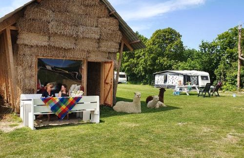 Aagtekerke Other | Minicamping Aan de Waterspiegel