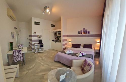 Historic Center Apartment | Minisuite