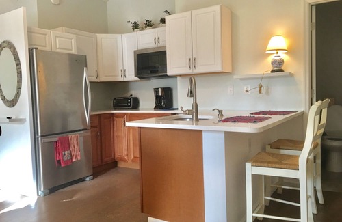 Savannah Apartment | Minutes to Historic Savannah and Tybee Island. situated on a private marsh