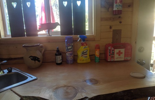 Pinehurst Cabin | Minutes to Sequoia & Kings Canyon Nat'l Parks Wi Fi, & No Cleaning Fee