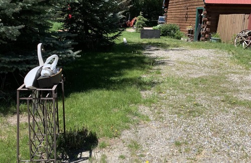 Moose Wilson Road Apartment | Minutes to the entrance to Grand Teton Nat. park.