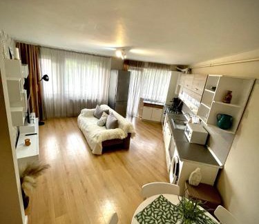 Cluj-Napoca Apartment | Mio Apartments Silver