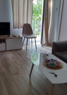 Soko Banja Apartment | Mira