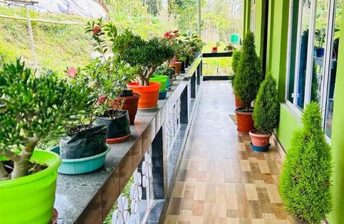 Mirik House | Mirik Homestay Mirik
