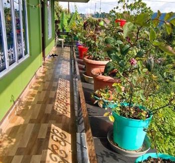 Mirik House | Mirik Homestay Mirik