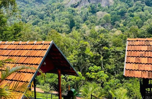 Sulthan Bathery Bed & Breakfast | Mirnomist