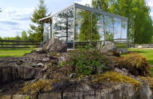 Birzgale House | Mirror house