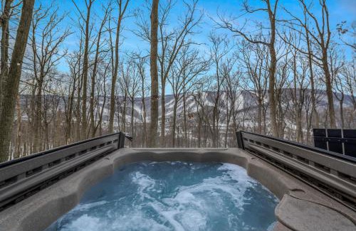 Mercersburg Cabin | Mirror Villas