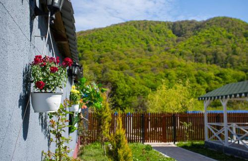 Azerbaijan Ski Chalet | Mirvari Aframe