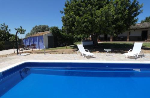 Jerez de la Frontera House | Mis Tres Rosas