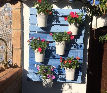 Jerez de la Frontera House | Mis Tres Rosas