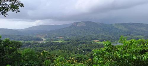 Todupulai Hotel | Mist Farm House