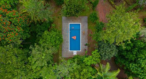 Kunnathidavaka Hotel | Misty Heights by The Sanihara