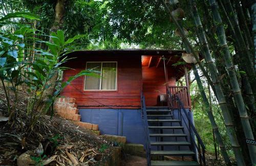 Meppadi Bed & Breakfast | Misty Morning Resorts Wayanad