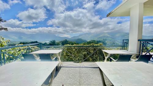 Udumbanchola Bed & Breakfast | Misty Munnar Cliff Heaven