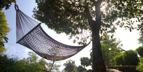 Kakabe Resort | Misty Woods Resort