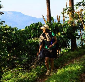 Kakabe Resort | Misty Woods Resort