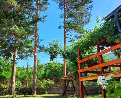 Ilino Apartment | Mitrović