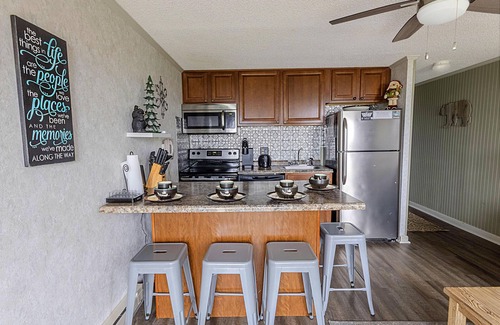 Snowshoe Condo | ML 122: Bike-In/Bike-Out 1BR steps from Ballhooter lift!