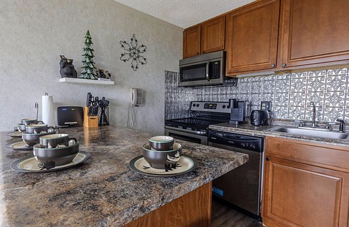 Snowshoe Condo | ML 122: Bike-In/Bike-Out 1BR steps from Ballhooter lift!