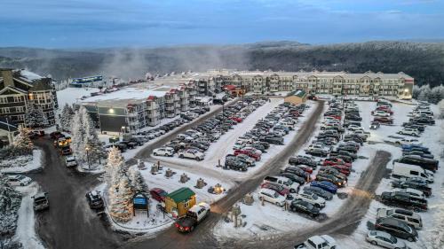 Snowshoe Apartment | ML134 Cozy Cabin Feel Slope View Wi-Fi Ballhooter Side EZ Parking