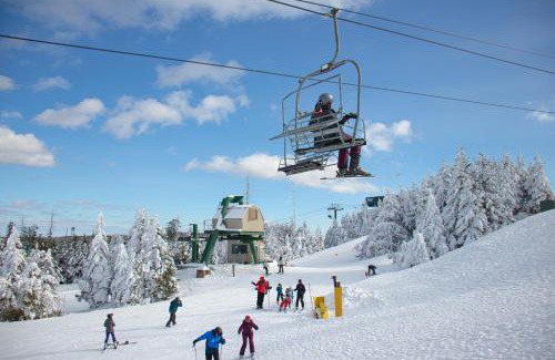 Snowshoe Apartment | ML134 Cozy Cabin Feel Slope View Wi-Fi Ballhooter Side EZ Parking