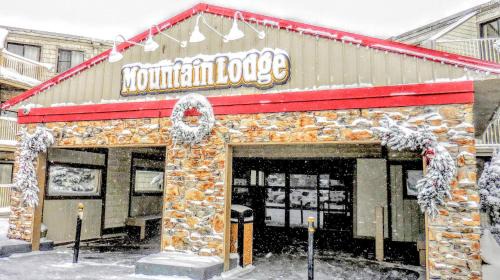 Snowshoe Apartment | ML143 Perfect For Families EZ Location Washer Dryer WiFi Slope Side