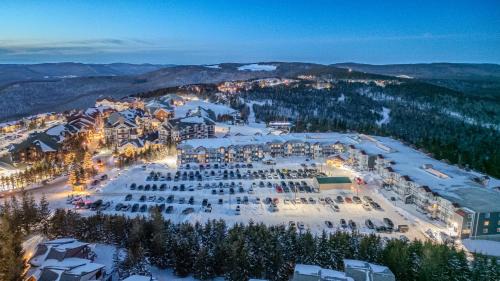 Snowshoe House | ML324 1BR 1BA Mountain View Connects To ML326 WiFi